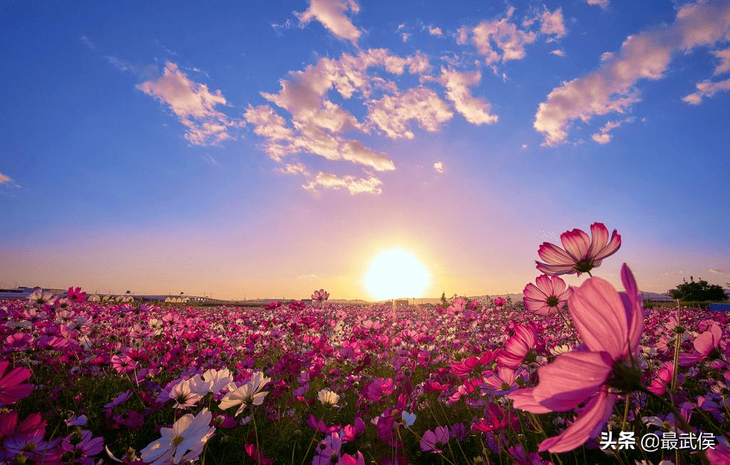 四川拟新增9家4A级旅游景区,四川省新增11家4a级旅游景区