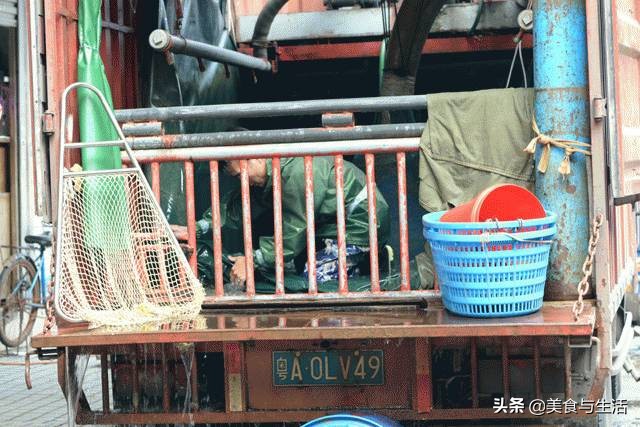 中国十大顶级大型海鲜市场在哪里,全国各大海鲜市场现状