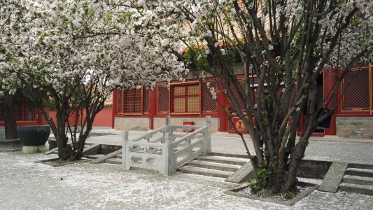 四眼看西游:比丘国的国王指的哪位皇帝?国丈和美后又是谁呢?