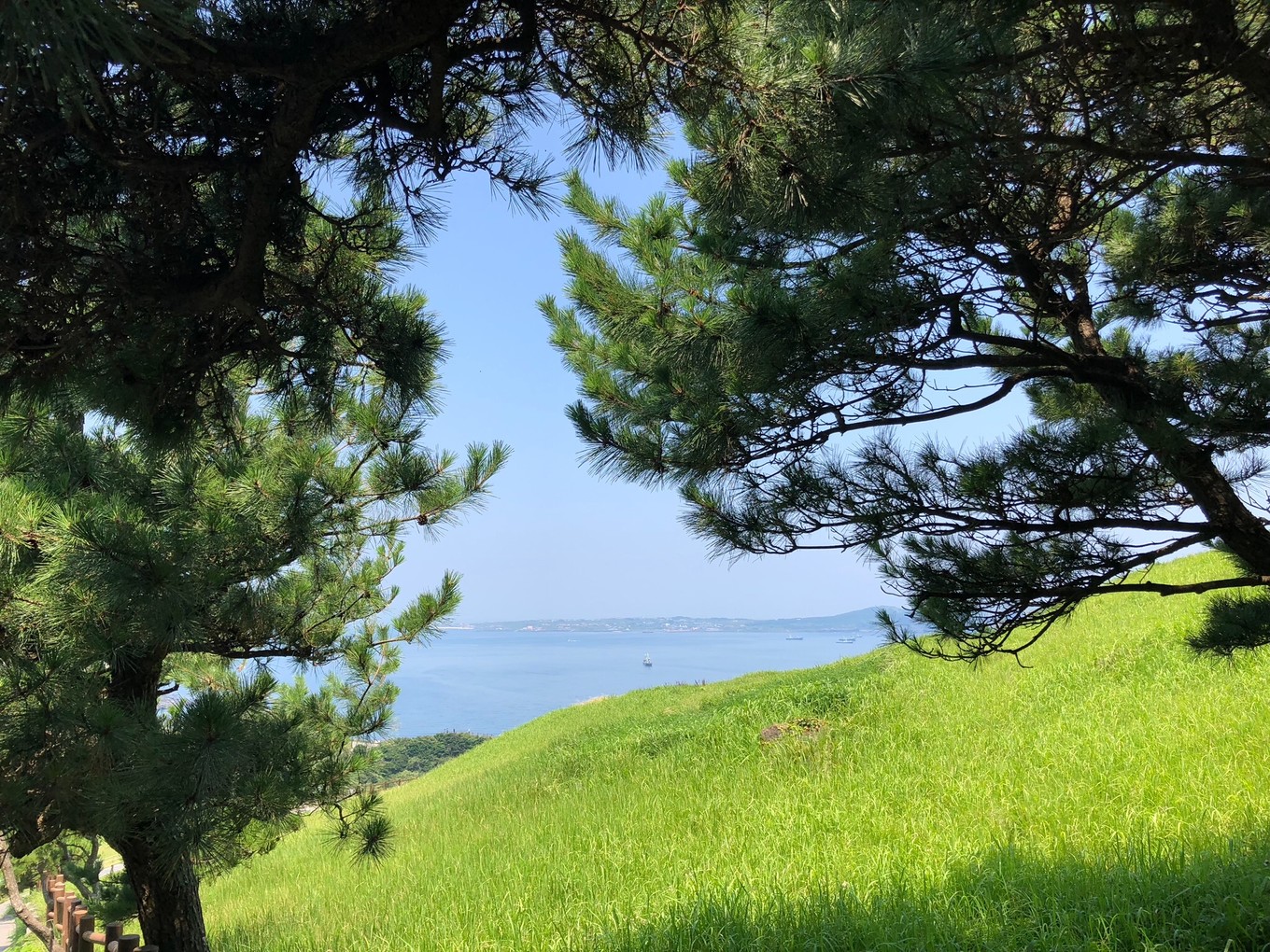 不会韩语如何去韩国玩,不会韩语怎么去韩国旅游