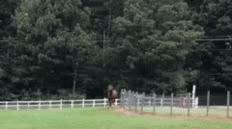 设计师脑洞大奇葩设计,脑洞大的设计师奇葩设计