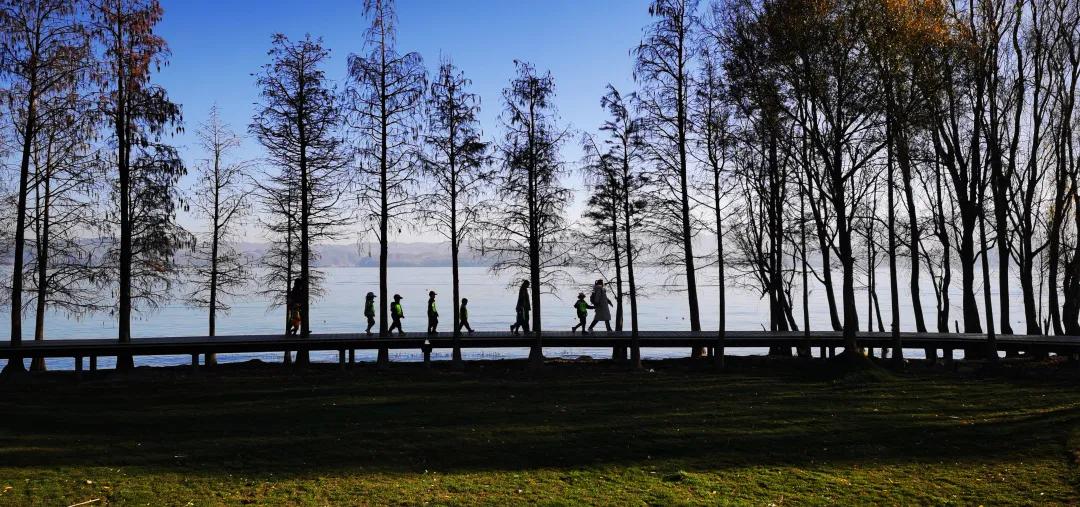 2023平遥国际摄影节获奖摄影作品,2009大理摄影展获奖作品