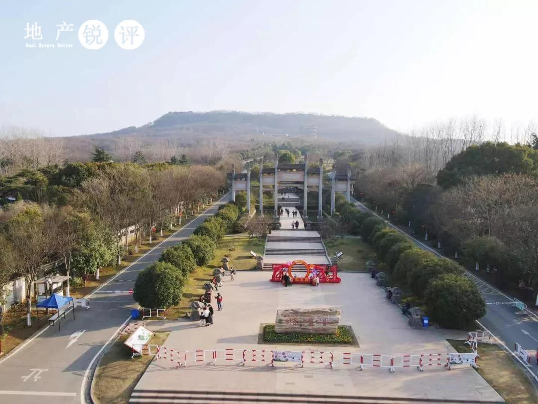 看完就想下手！买房人为何宠爱这款“流量担当”？