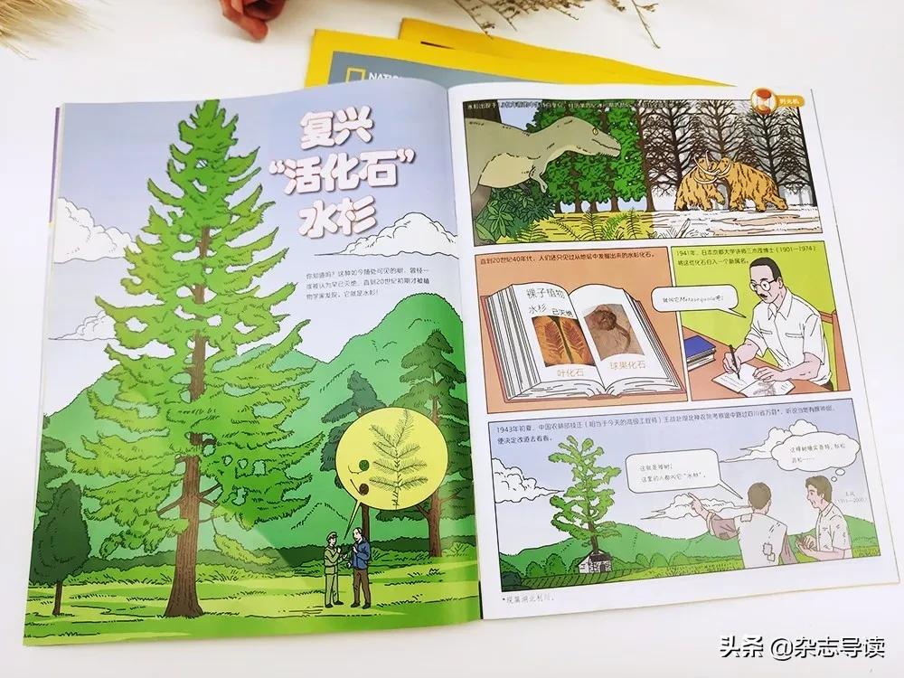 孩子必读的科普读物,哪些适合小学生看的科普杂志