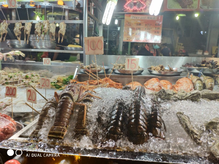 马来西亚10天旅游花费,马来西亚9晚10天自助游攻略