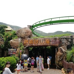 珠海长隆两日一晚游玩攻略,珠海长隆一日游攻略中餐