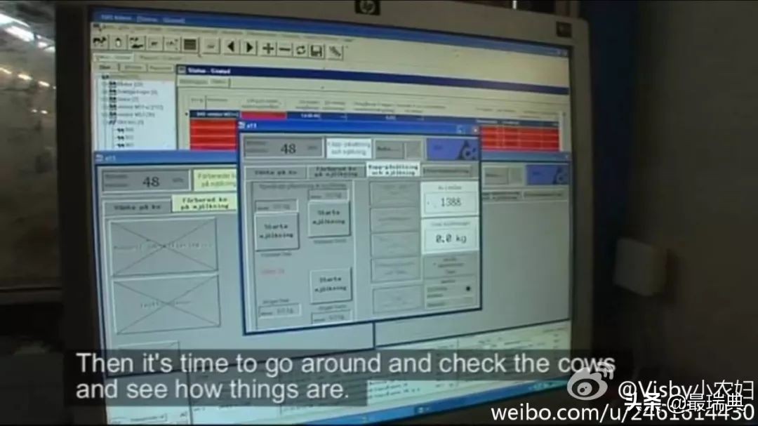 瑞典森宝奶粉如何,森宝奶粉6-12个月