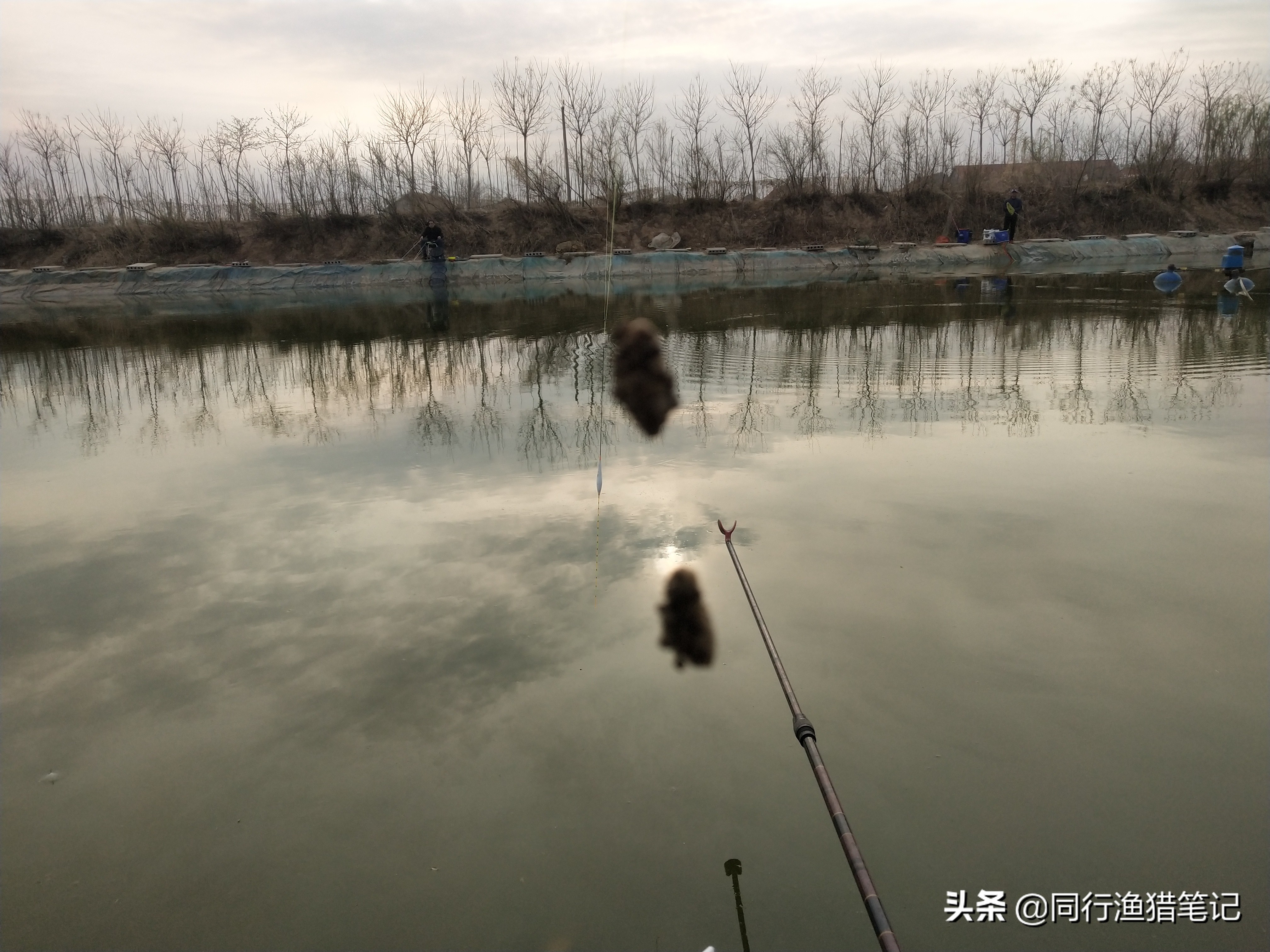 软粘饵使用技巧,软粘饵的正确使用方法