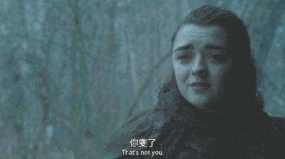 史塔克八年后的孩子,史塔克家几个孩子