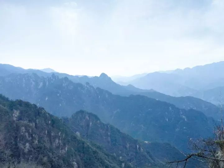 椒盐山核桃仁,核桃仁咸香酥脆的家庭做法