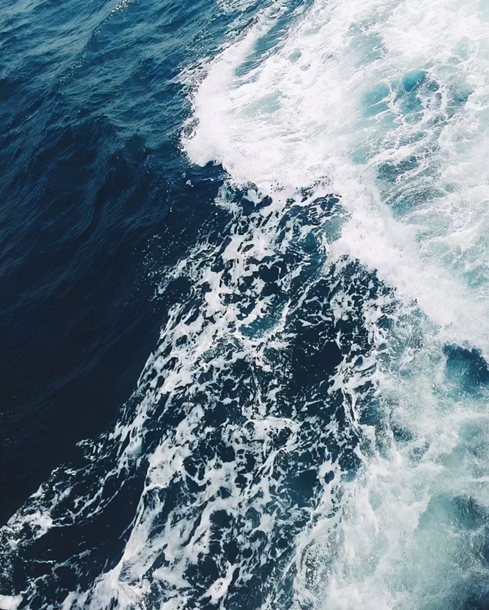 无问西东完整版,莫问东西什么意思