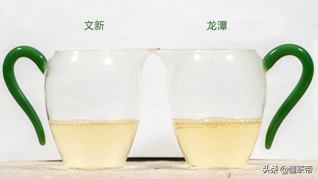 信阳毛尖绿茶测评,信阳毛尖评测