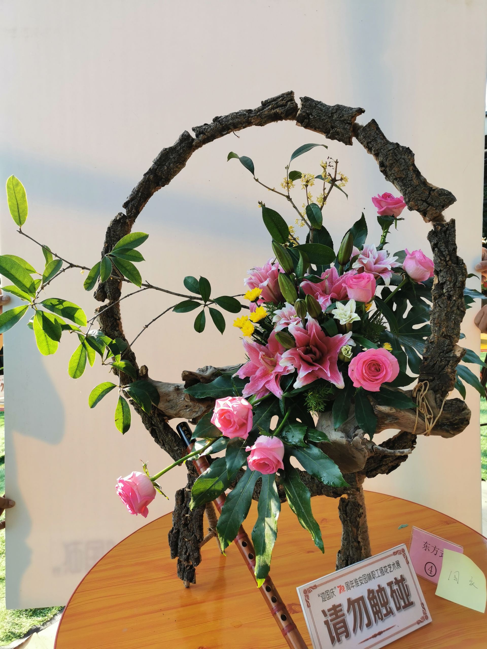 国庆去哪儿南国花锦,国庆去月季公园