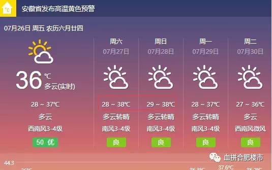 吃不起水果、买不起房、工资拖后腿,合肥人你真的幸福吗?