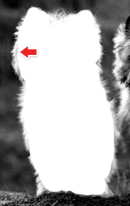 photoshopcs5怎么抠图,adobephotoshop抠图