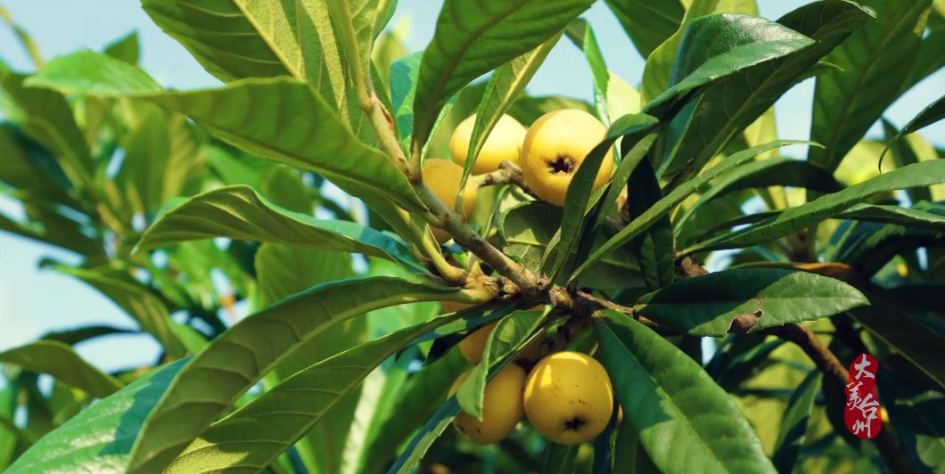 台州历史文化遗产,台州山海文化