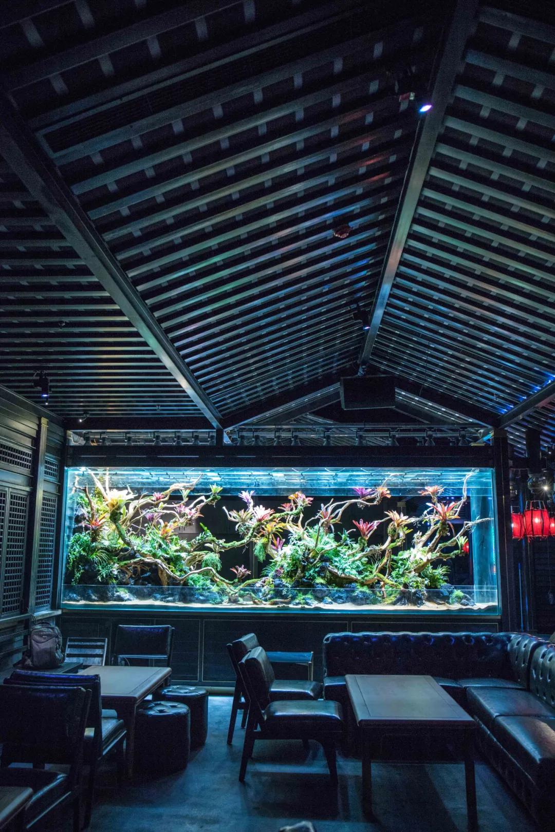 再也不用飞成都了！明星都超爱的贰麻酒馆青岛盛大开业