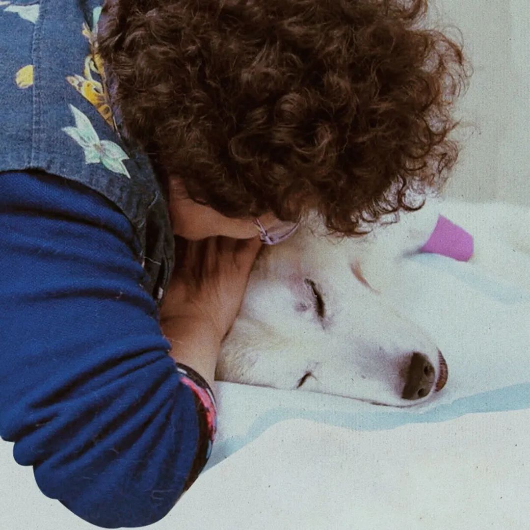 b站高分历史纪录片,2分钟一集的b站纪录片