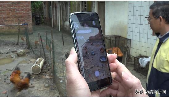 驻村工作队帮村销售散养鸡,驻村干部帮助村民销售农产品