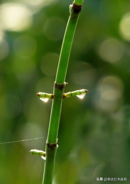 古代木匠是干什么,古代木匠用什么钉子