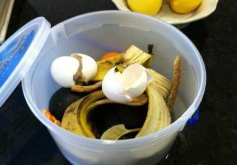 春天种菜怎么样施底肥,春季种菜用什么肥料合适