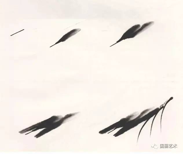 国画用胶矾水画虾技法,娄师白画虾技法视频