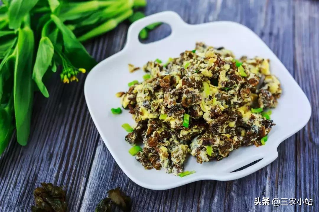 农村这种野菜“雨后”才出现，有人嫌脏，但营养极高