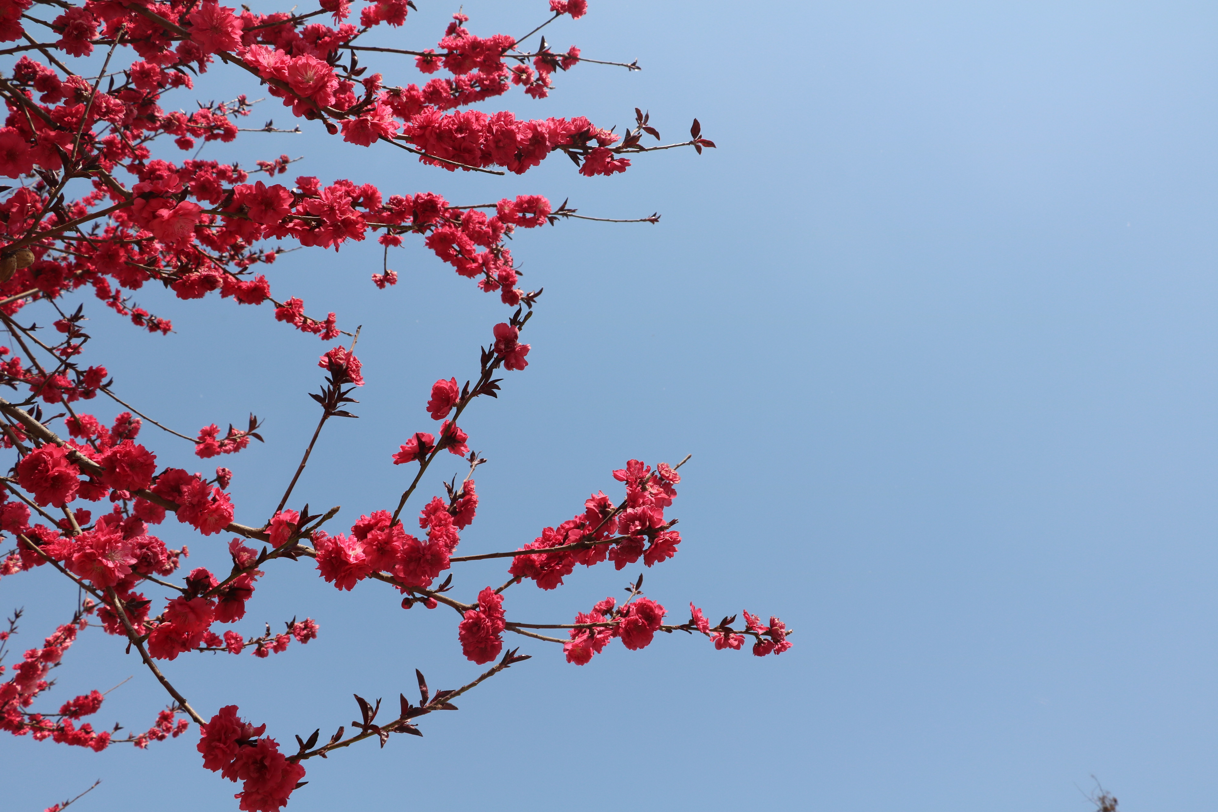 快乐春游作文400字,快乐作文快乐学习