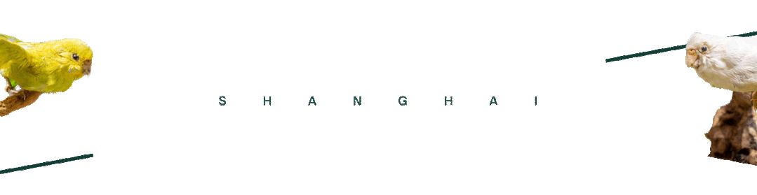 时髦精都在逛的hAomArket好市，一站式承包你的冬日小众好物