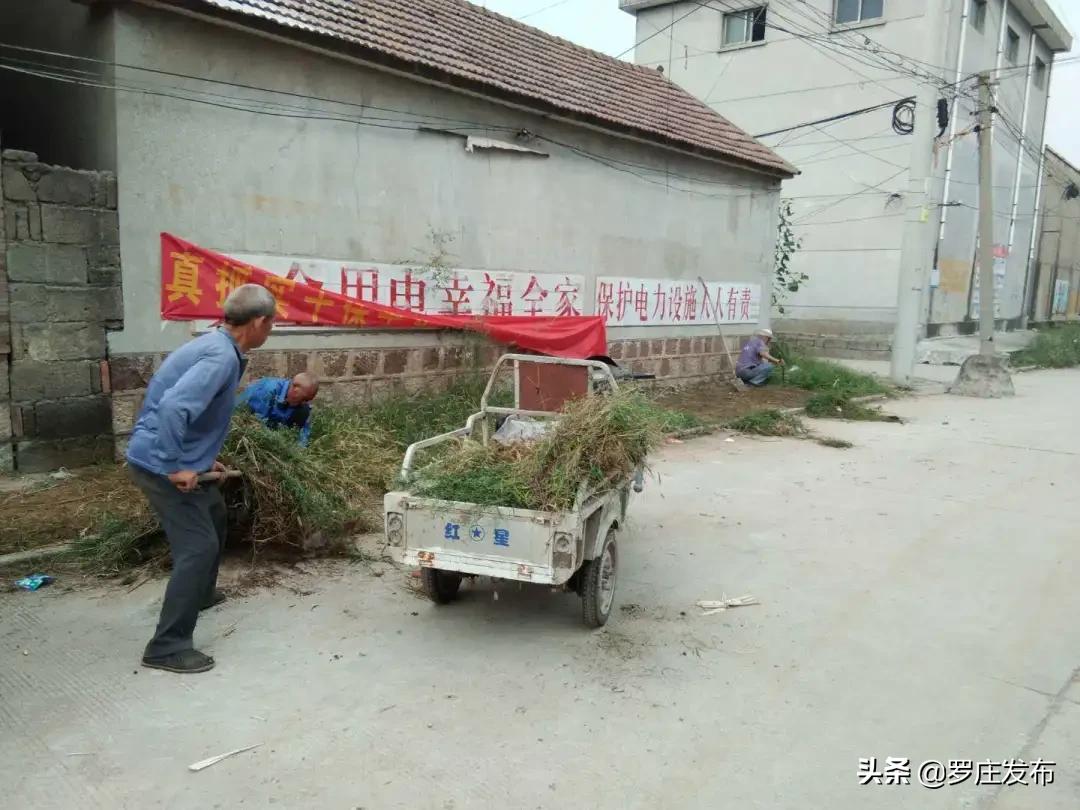 罗庄新闻决战创城,罗庄最新创城新闻