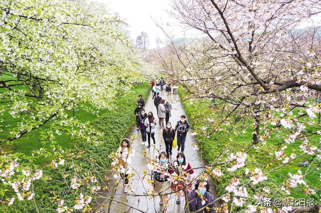 长文最新更新视频,重磅文章最新