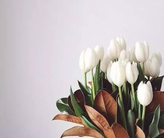 生活本就满目疮痍何必雪上加霜,生活本就满目疮痍但也有人精致