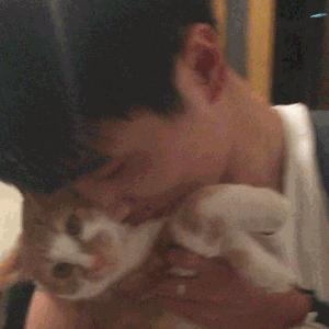 这部温情的撸猫片，让我哭得溃不成军，这是全世界猫*党**的胜利