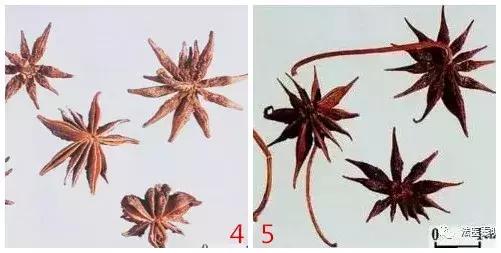 7个令人颤抖的法医冷知识,真实的法医基础知识