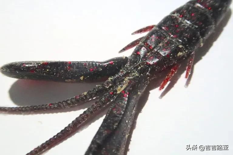 黑坑开饵技巧和教学,黑坑上岸软饵