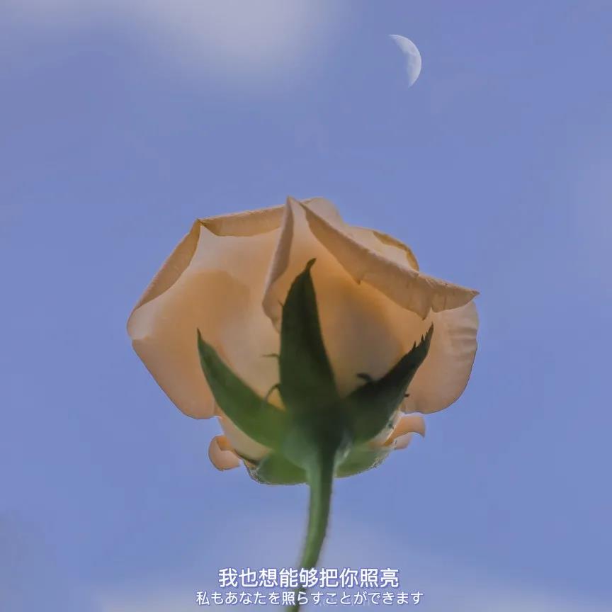 上升双鱼星座命运,上升双鱼的格局