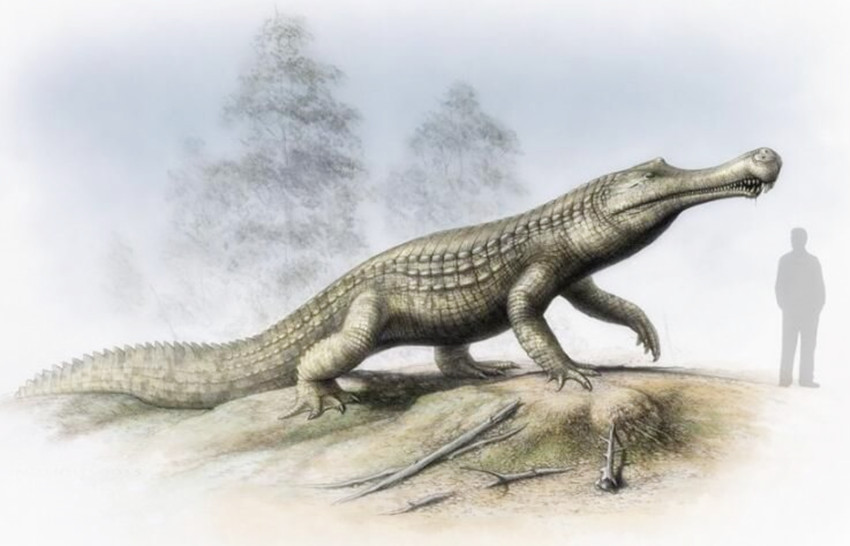 恐龙是不是远古时代最大的生物,穿越到恐龙时代收恐龙当小弟