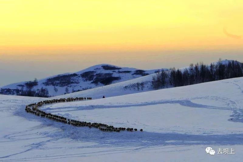坝上摄影攻略,坝上夏季摄影