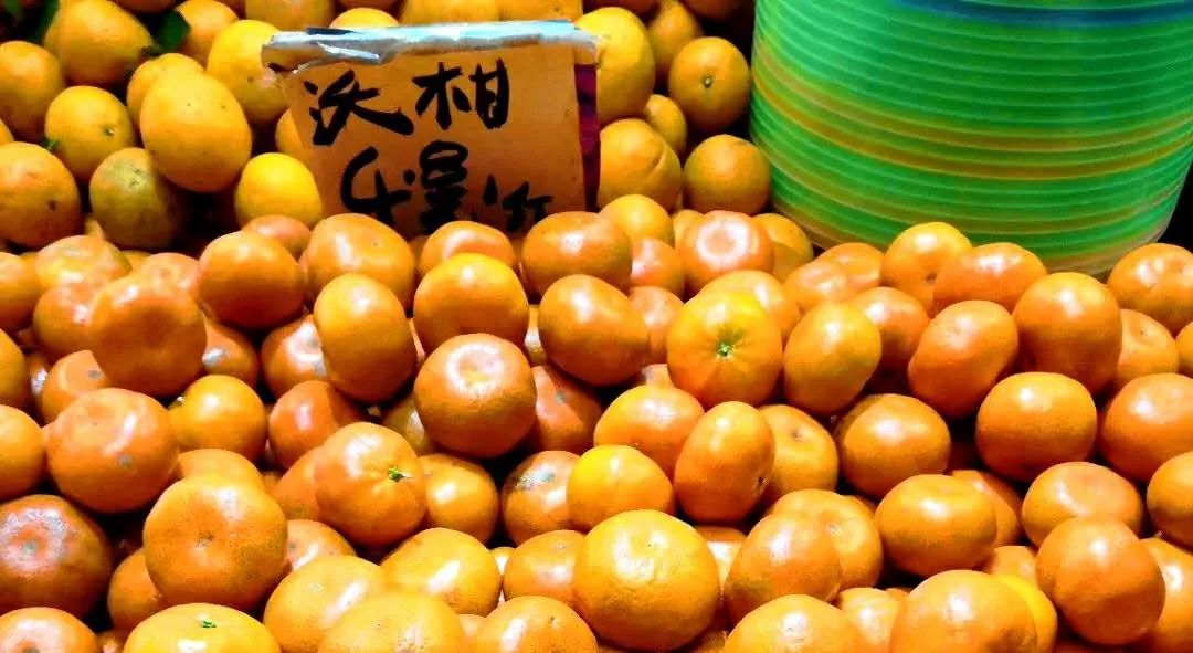 家里没有沃柑，不准娶我女儿？沃柑到底是有多赚钱？