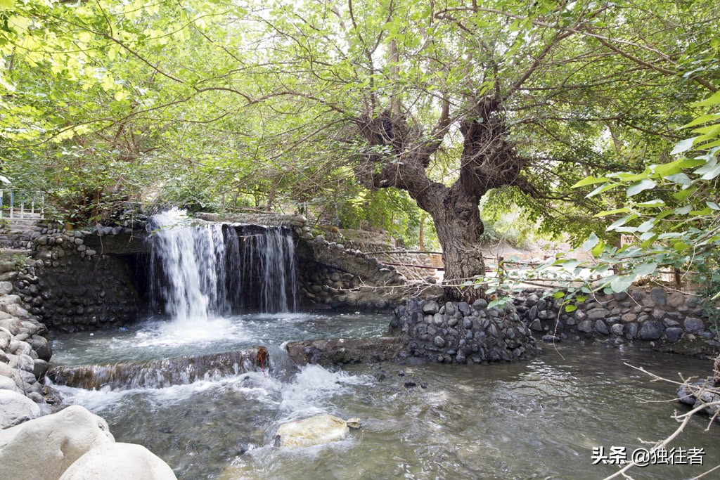 新疆吐鲁番葡萄沟葡萄视频,吐鲁番葡萄沟的葡萄