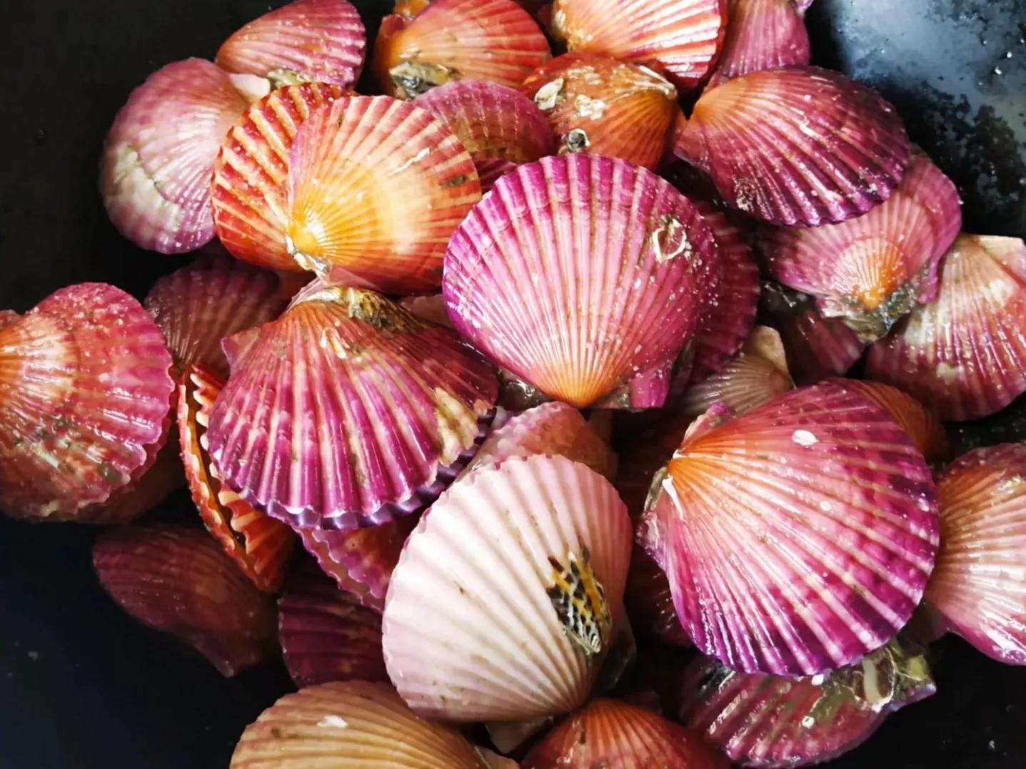 比较便宜的十种海鲜价格,冬天低端便宜海鲜有哪些品种