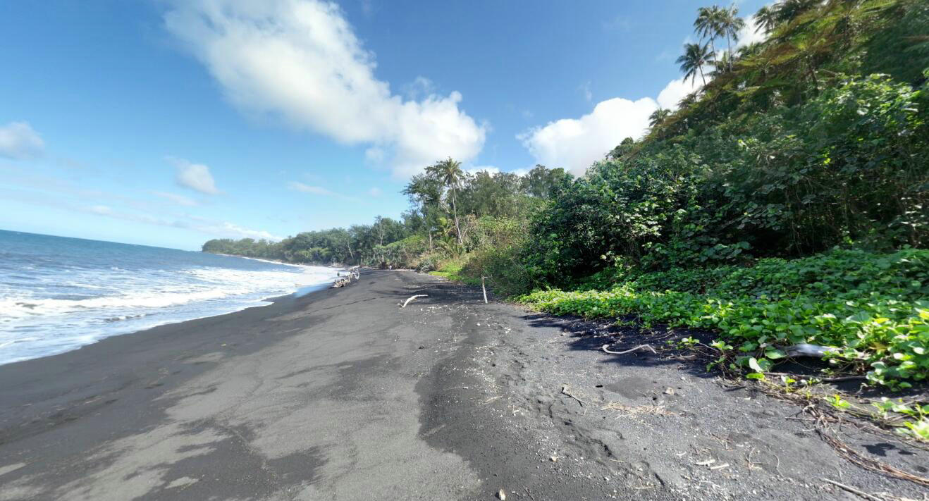 火山岛火山灰岛屿,一个全是巨型生物岛