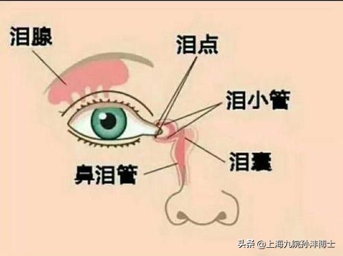 刚做完双眼皮闭眼总翻白眼正常吗,割了双眼皮为啥眼睛老流泪