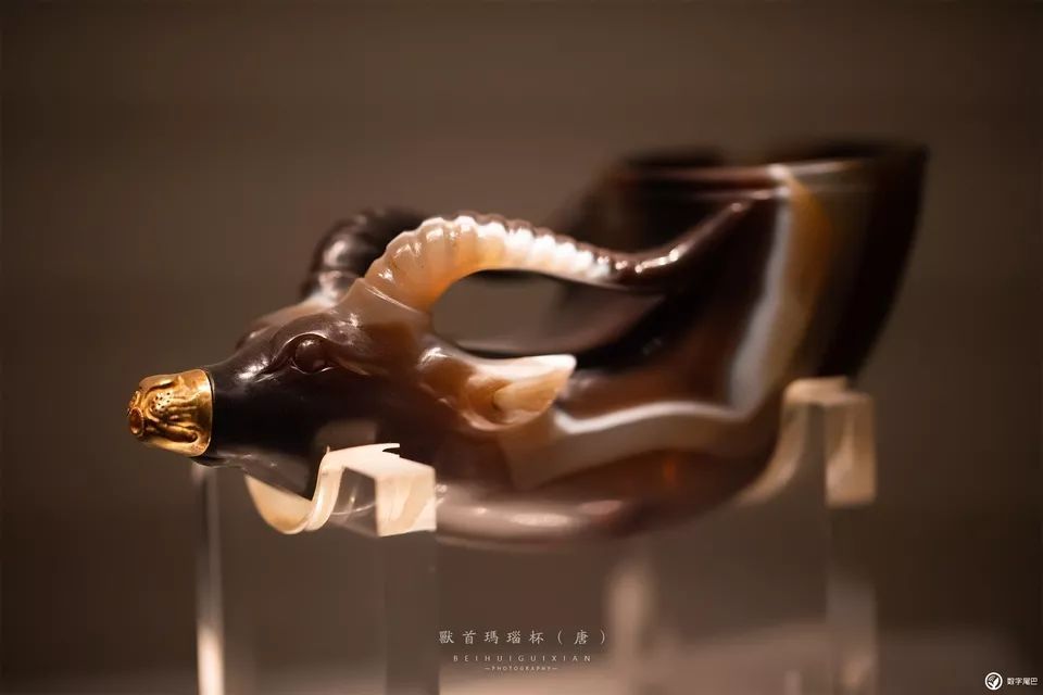 一起去博物馆发现古老的神器,陕西历史博物馆游览全攻略