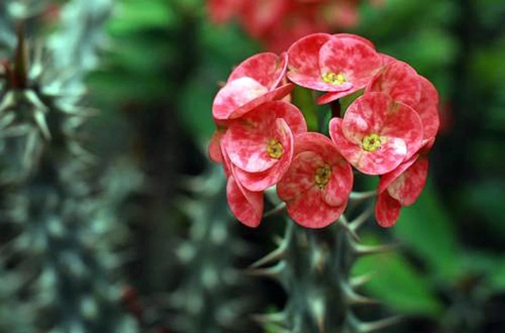 真正聪明的人身上有哪些特征,聪慧女人的特征