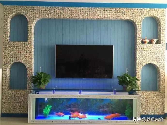 电视柜养鱼,电视柜旁边养鱼好不好