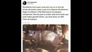 小罗拿监狱杯冠军,小罗获得监狱足球比赛冠军