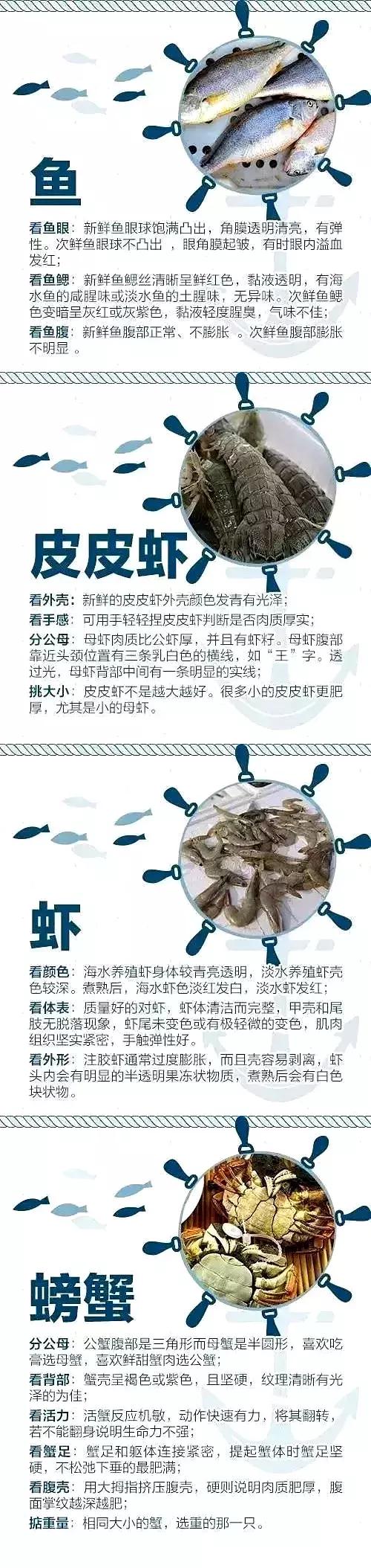 在天津的美食,天津开海美食攻略