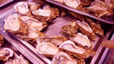 *欲肉**横流、热辣诱人……给我看得热血沸腾！