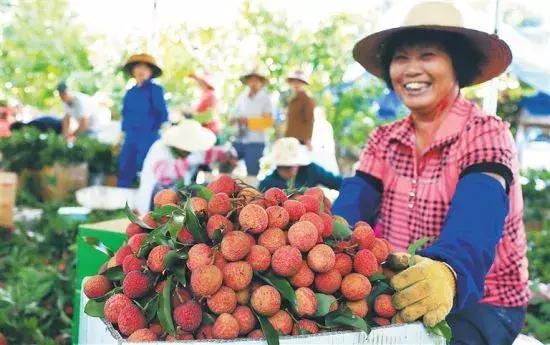 对不起，我们错了，海南人一点都不懒